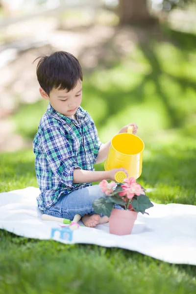 Blandad ras ung pojke vattning hans krukväxter blommor utanför på den — Stockfoto