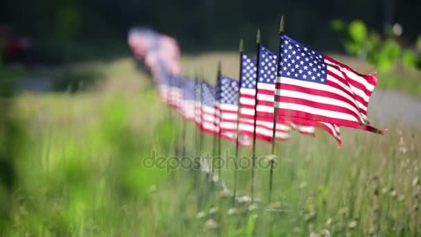 Lange Reihe amerikanischer Flaggen am Zaun weht im Wind. — Stockvideo