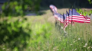 Çit rüzgarda sallayarak üzerinde Amerikan bayrakları uzun satırı.