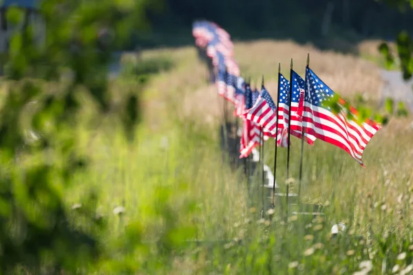 Rad med amerikanska flaggor på staket — Stockfoto