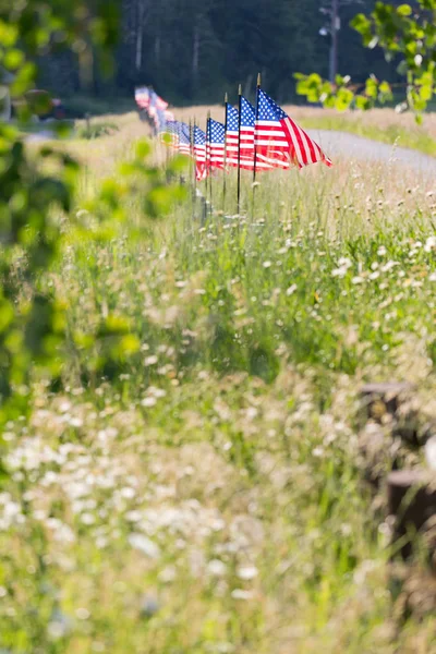 美国国旗在栅栏上的行 — 图库照片