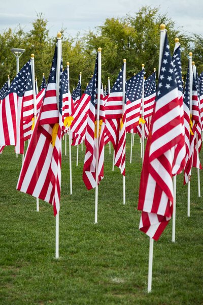 Field of Veterans Day American Flags Waving in the Breeze.