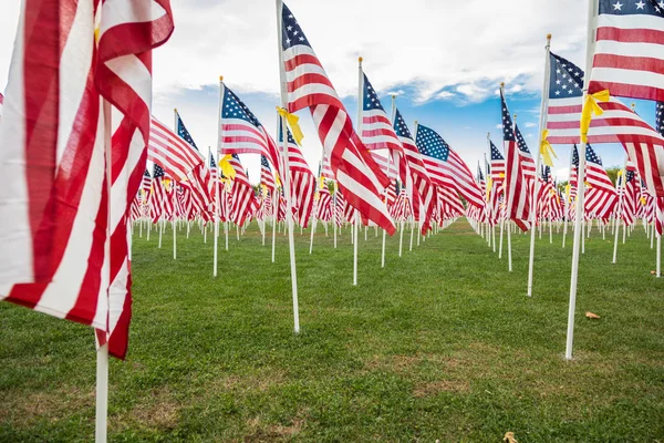 Fältet av Veterans Day amerikanska flaggor vajande i vinden. — Stockfoto