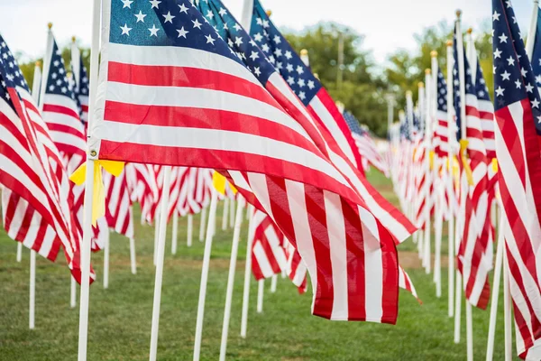 Gebied van Veterans Day Amerikaanse vlaggen zwaaien in de wind. — Stockfoto