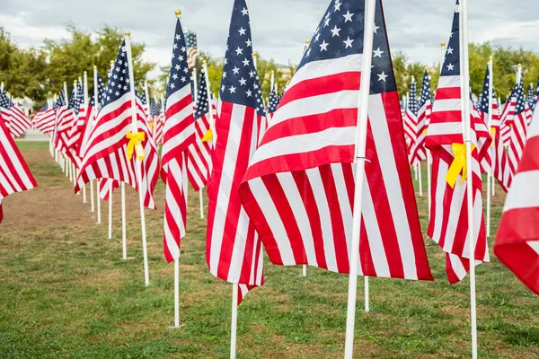 Campo dei veterani Giorno Bandiere americane sventolando nella brezza . — Foto Stock