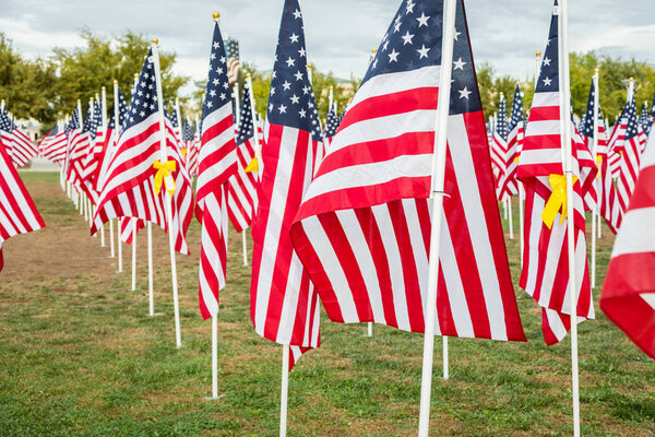 Field of Veterans Day American Flags Waving in the Breeze.