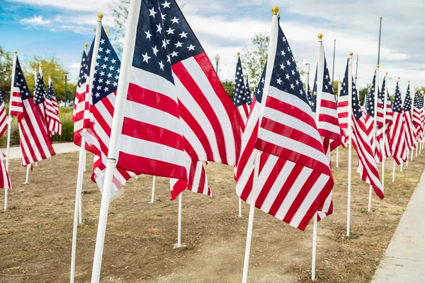 Fältet av Veterans Day amerikanska flaggor vajande i vinden. — Stockfoto