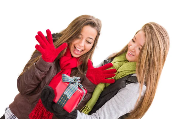 Mixed Race Young Adult Females Holding A Christmas Gift Isolated on a White Background. Stock Image
