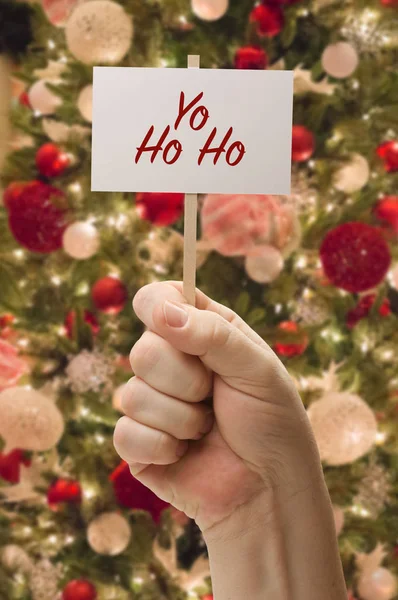 Mão segurando Yo Ho Ho cartão na frente da árvore de Natal decorada . — Fotografia de Stock