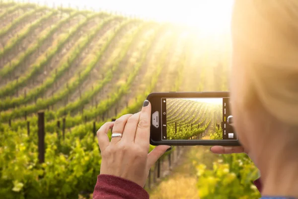 Frau fotografiert mit ihrem Smartphone einen Weinberg — Stockfoto