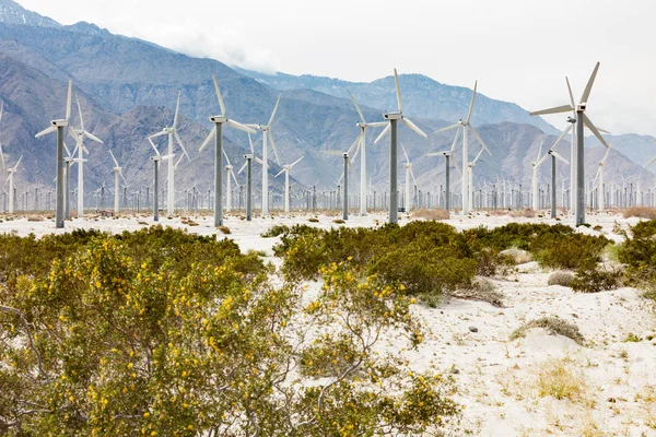 カリフォルニア州の砂漠での劇的な風力タービン. — ストック写真