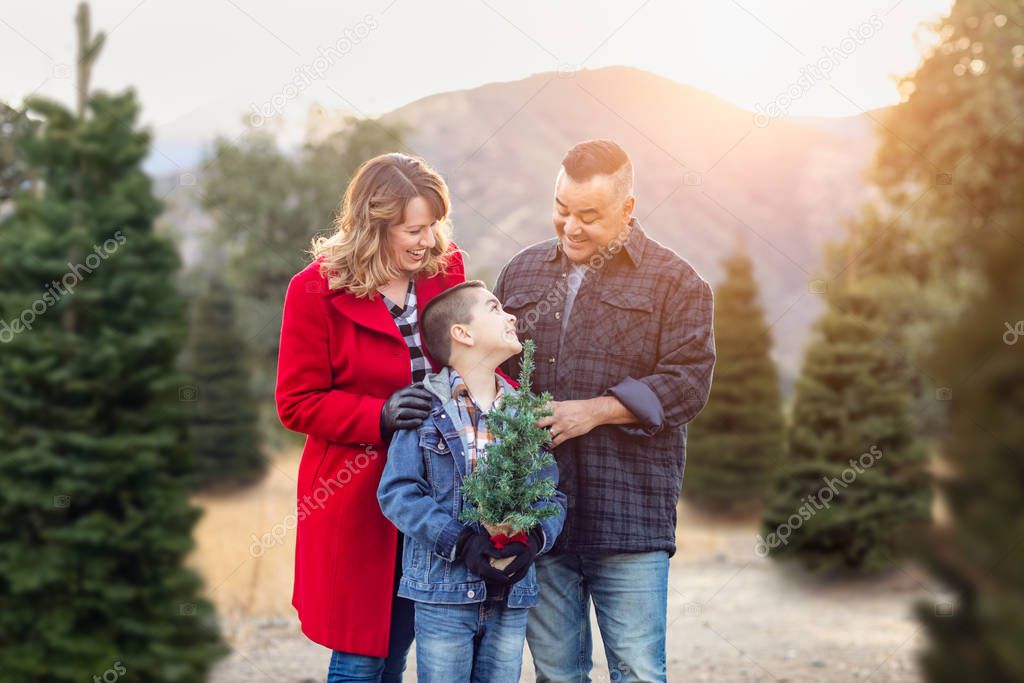 Mixed Race Family Outdoors At Christmas Tree Farm