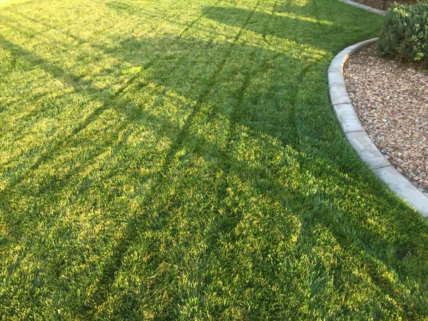 Fresh Cut Green Grass Yard Μια Ανοιξιάτικη Μέρα — Φωτογραφία Αρχείου