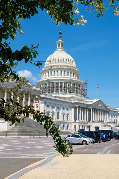 The United States Capitol in Washington D.C. — Φωτογραφία Αρχείου