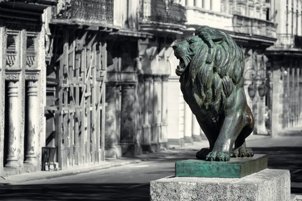 Scena di strada in bianco e nero dell'Avana Vecchia con il leone di bronzo — Foto Stock