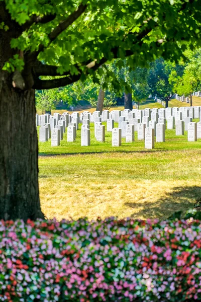 Gravstenar och blommor på Arlington National Cemetery — Stockfoto