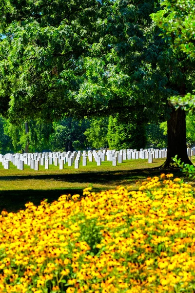 Tombstones and flowers at the Arlington National Cemetery — Stock Photo, Image