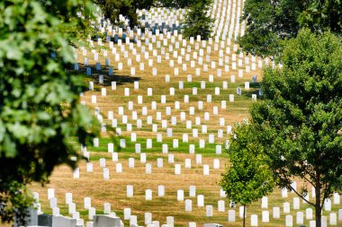 Arlington Ulusal Mezarlığı, otsu bir tepede mezar taşları