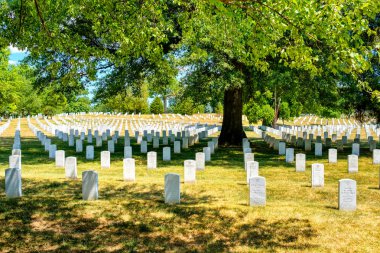 Arlington National Cemetery VI, bir ağacın altında mezar taşları