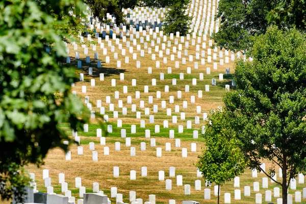 Pedras tumulares em uma colina gramada no Cemitério Nacional de Arlington — Fotografia de Stock