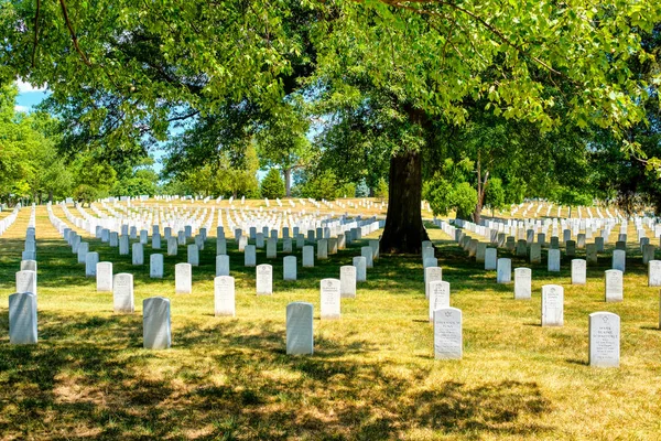 Pedras tumulares sob uma árvore no Cemitério Nacional de Arlington em Vi — Fotografia de Stock