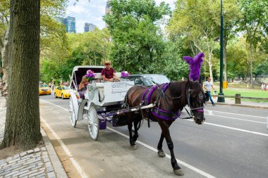 New York'taki Central Park'ta at arabası