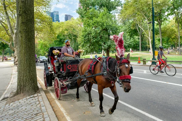 Paard en wagen in Central Park in New York City — Stockfoto