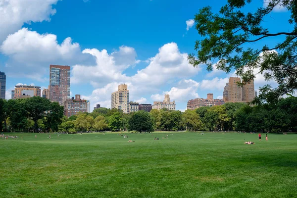 El prado de ovejas en Central Park en la ciudad de Nueva York en un verano da — Foto de Stock
