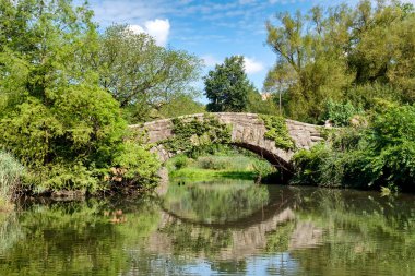 Central Park, New York City'deki bir göl üzerinde eski taş köprü