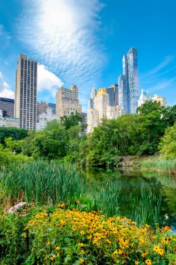Midtown Manhattan Skyline ile Central Park'ta göletin ben