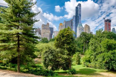 Central Park'a Ne midtown Manhattan siluetinin manzarasına sahip