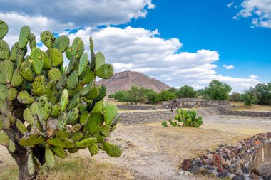 Piramitler, Teotihuacan, Meksika büyük bir arkeolojik site görünümünü
