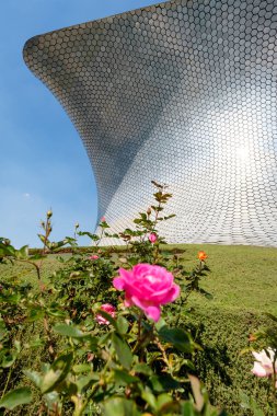 Mexico City modern Soumaya Sanat Müzesi