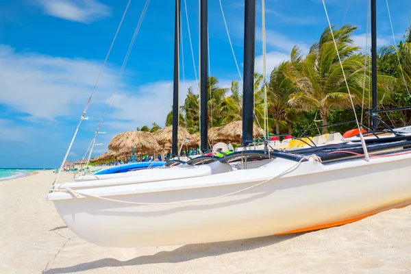 Barche a vela e alberi di cocco sulla spiaggia tropicale di Varadero a Cuba — Foto Stock