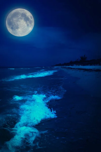 Παραλία τη νύχτα με μια πανσέληνο φωτε — Φωτογραφία Αρχείου