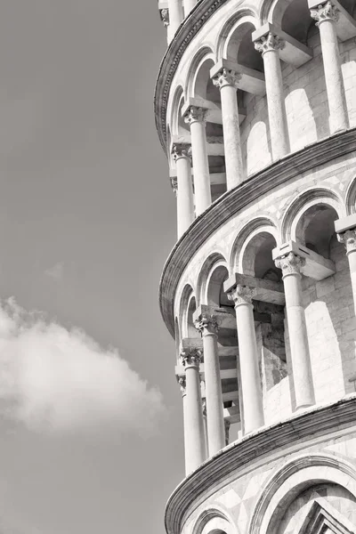 Ασπρόμαυρη εικόνα του Πύργος της Πίζας — Φωτογραφία Αρχείου