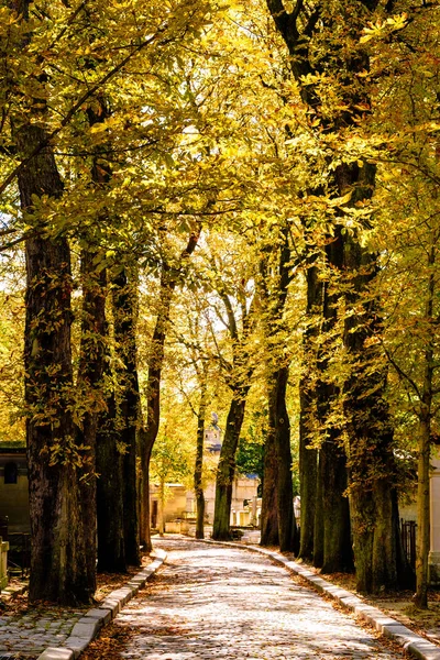 The Pere Lachaise cemetery in Paris during fall — Stock Photo, Image