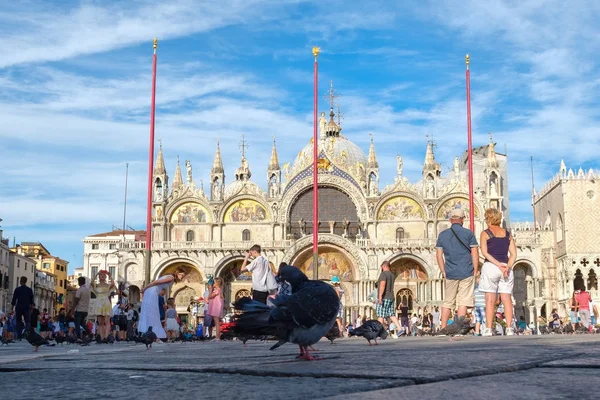 Güvercinler üzerinde bir miktar kare ile Venedik St Mark's Basilica