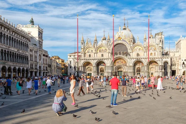 St Mark's meydanından turist ve Venedik güvercinler ile
