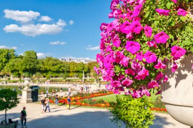 Paris 'teki Lüksemburg Bahçesi