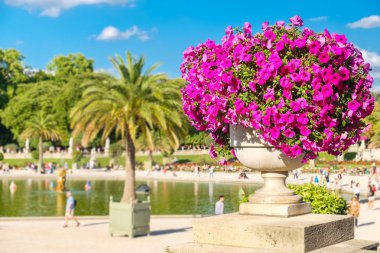 Paris 'teki Lüksemburg Bahçesi