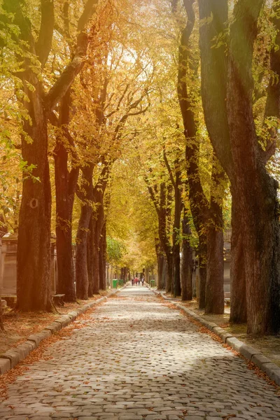 The Pere Lachaise cemetery in Paris in autumn — Stock Photo, Image