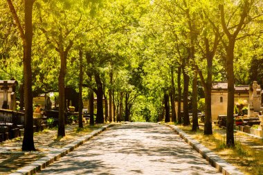 Paris'te Pere Lachaise mezarlığı