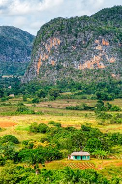 Küba'da vinales Vadisi
