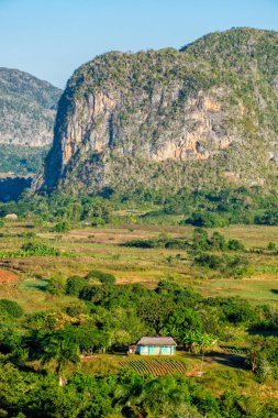 The Vnaales valley in Cuba