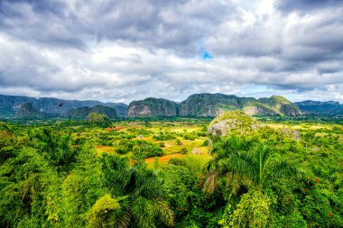 Küba'da vinales Vadisi
