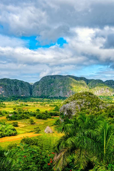 La Valle dei Vigneti a Cuba — Foto Stock