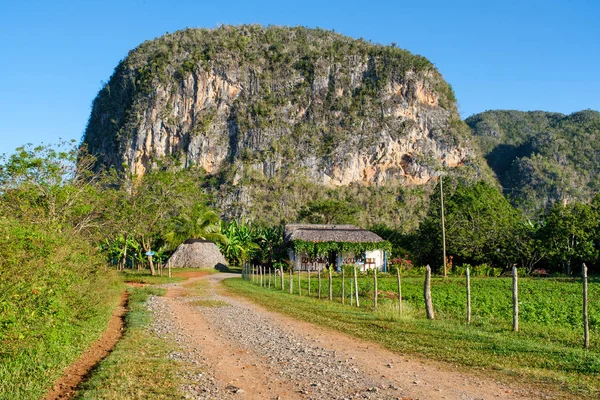 Typowy wiejski dom w dolinie Vinales na Kubie — Zdjęcie stockowe