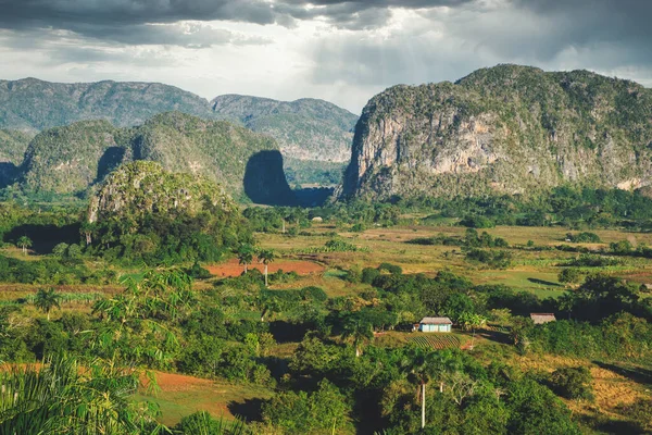Dolina Vinales Kubie Ojczyzna Najlepszego Tytoniu Świecie — Zdjęcie stockowe
