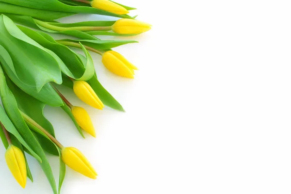Gelbe Tulpen mit Platz für Text — Stockfoto